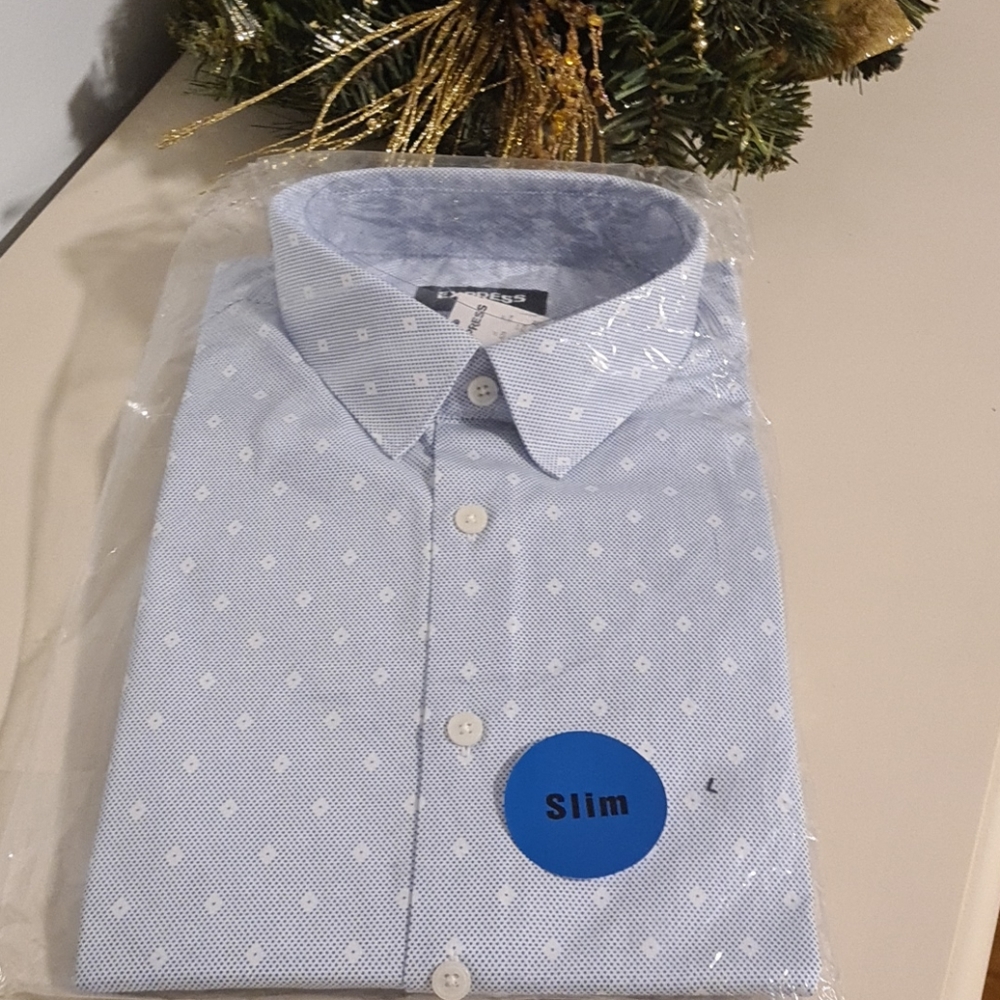 Express Men's Large Slim Dress Shirt